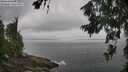 ./images/koeye/fitz-hugh/20260630/fitz-hugh20260630_093501M.jpg