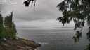 ./images/koeye/fitz-hugh/20260630/fitz-hugh20260630_094001M.jpg