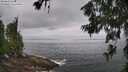 ./images/koeye/fitz-hugh/20260630/fitz-hugh20260630_094501M.jpg
