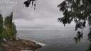 ./images/koeye/fitz-hugh/20260630/fitz-hugh20260630_095001M.jpg
