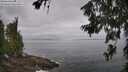 ./images/koeye/fitz-hugh/20260630/fitz-hugh20260630_095501M.jpg