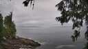 ./images/koeye/fitz-hugh/20260630/fitz-hugh20260630_100001M.jpg