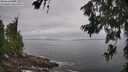 ./images/koeye/fitz-hugh/20260630/fitz-hugh20260630_101001M.jpg