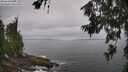 ./images/koeye/fitz-hugh/20260630/fitz-hugh20260630_101501M.jpg