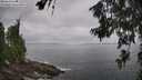 ./images/koeye/fitz-hugh/20260630/fitz-hugh20260630_102501M.jpg