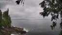 ./images/koeye/fitz-hugh/20260630/fitz-hugh20260630_103501M.jpg