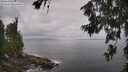 ./images/koeye/fitz-hugh/20260630/fitz-hugh20260630_104002M.jpg
