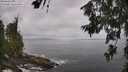 ./images/koeye/fitz-hugh/20260630/fitz-hugh20260630_104501M.jpg