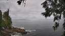 ./images/koeye/fitz-hugh/20260630/fitz-hugh20260630_105002M.jpg