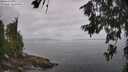 ./images/koeye/fitz-hugh/20260630/fitz-hugh20260630_105501M.jpg