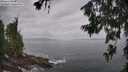 ./images/koeye/fitz-hugh/20260630/fitz-hugh20260630_110002M.jpg