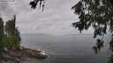 ./images/koeye/fitz-hugh/20260630/fitz-hugh20260630_111001M.jpg