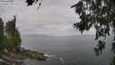./images/koeye/fitz-hugh/20260630/fitz-hugh20260630_114501M.jpg