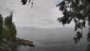 ./images/koeye/fitz-hugh/20260630/fitz-hugh20260630_122501M.jpg