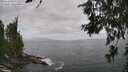 ./images/koeye/fitz-hugh/20260630/fitz-hugh20260630_124001M.jpg