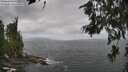 ./images/koeye/fitz-hugh/20260630/fitz-hugh20260630_125002M.jpg