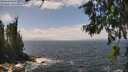 ./images/koeye/fitz-hugh/20260630/fitz-hugh20260630_133002M.jpg