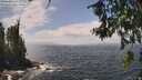 ./images/koeye/fitz-hugh/20260630/fitz-hugh20260630_134501M.jpg
