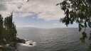 ./images/koeye/fitz-hugh/20260630/fitz-hugh20260630_144002M.jpg
