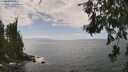 ./images/koeye/fitz-hugh/20260630/fitz-hugh20260630_144501M.jpg