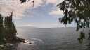 ./images/koeye/fitz-hugh/20260630/fitz-hugh20260630_145501M.jpg