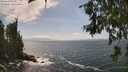 ./images/koeye/fitz-hugh/20260630/fitz-hugh20260630_150501M.jpg