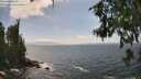 ./images/koeye/fitz-hugh/20260630/fitz-hugh20260630_151001M.jpg