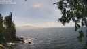 ./images/koeye/fitz-hugh/20260630/fitz-hugh20260630_152001M.jpg