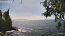 ./images/koeye/fitz-hugh/20260630/fitz-hugh20260630_152501M.jpg