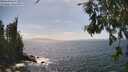 ./images/koeye/fitz-hugh/20260630/fitz-hugh20260630_153501M.jpg