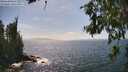 ./images/koeye/fitz-hugh/20260630/fitz-hugh20260630_154001M.jpg