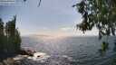 ./images/koeye/fitz-hugh/20260630/fitz-hugh20260630_160501M.jpg
