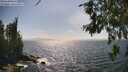 ./images/koeye/fitz-hugh/20260630/fitz-hugh20260630_161001M.jpg