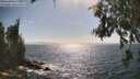 ./images/koeye/fitz-hugh/20260630/fitz-hugh20260630_164501M.jpg