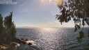 ./images/koeye/fitz-hugh/20260630/fitz-hugh20260630_165501M.jpg