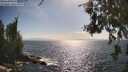 ./images/koeye/fitz-hugh/20260630/fitz-hugh20260630_171002M.jpg