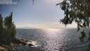 ./images/koeye/fitz-hugh/20260630/fitz-hugh20260630_171501M.jpg