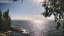 ./images/koeye/fitz-hugh/20260630/fitz-hugh20260630_172001M.jpg