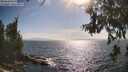 ./images/koeye/fitz-hugh/20260630/fitz-hugh20260630_172501M.jpg
