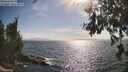 ./images/koeye/fitz-hugh/20260630/fitz-hugh20260630_173001M.jpg