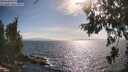 ./images/koeye/fitz-hugh/20260630/fitz-hugh20260630_173501M.jpg
