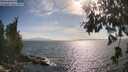 ./images/koeye/fitz-hugh/20260630/fitz-hugh20260630_174001M.jpg
