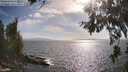 ./images/koeye/fitz-hugh/20260630/fitz-hugh20260630_175002M.jpg