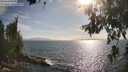./images/koeye/fitz-hugh/20260630/fitz-hugh20260630_180501M.jpg
