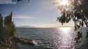 ./images/koeye/fitz-hugh/20260630/fitz-hugh20260630_183002M.jpg