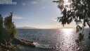 ./images/koeye/fitz-hugh/20260630/fitz-hugh20260630_183501M.jpg