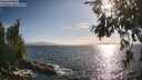 ./images/koeye/fitz-hugh/20260630/fitz-hugh20260630_184001M.jpg