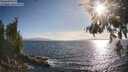 ./images/koeye/fitz-hugh/20260630/fitz-hugh20260630_185501M.jpg