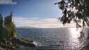 ./images/koeye/fitz-hugh/20260630/fitz-hugh20260630_192502M.jpg