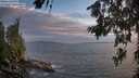./images/koeye/fitz-hugh/20260630/fitz-hugh20260630_212501M.jpg